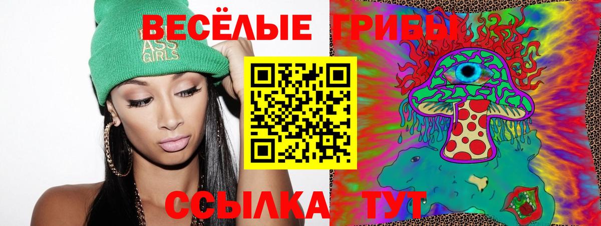 Светлоград  Псилоцибиновые грибы Psilocybe  Вход с VPN 